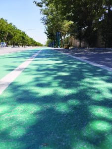 رینگ سلامت مشکین دشت