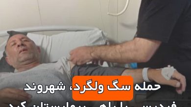 حمله سگ