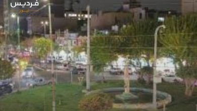 فردیس
