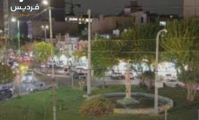 فردیس