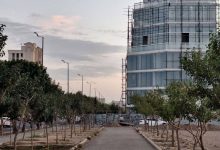 فردیس